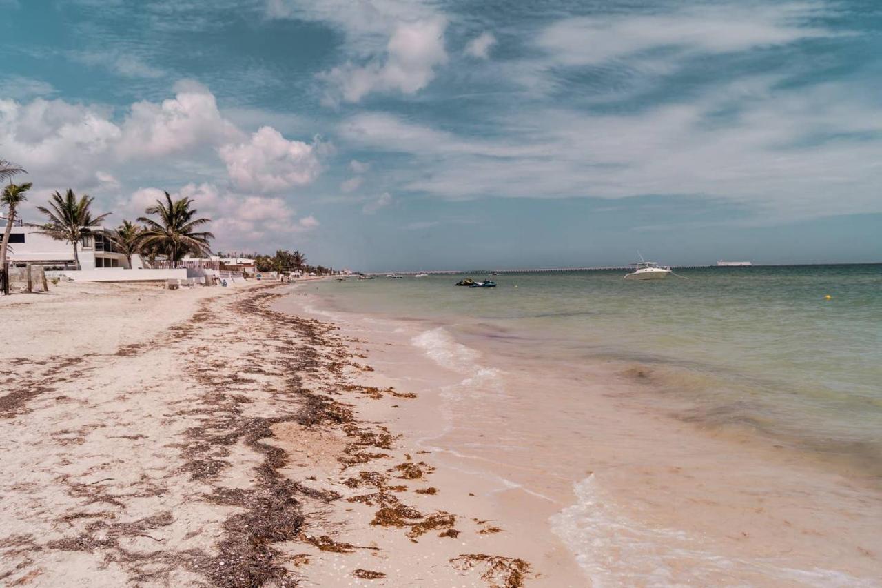 Luxury Condo, the hidden gem Playa Chacá. Live it! Progreso (Yucatan) Exterior foto